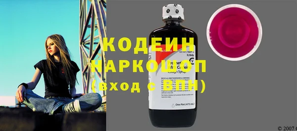 соль ск Новозыбков